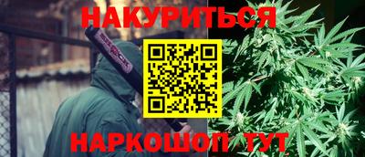 гашик Ливны